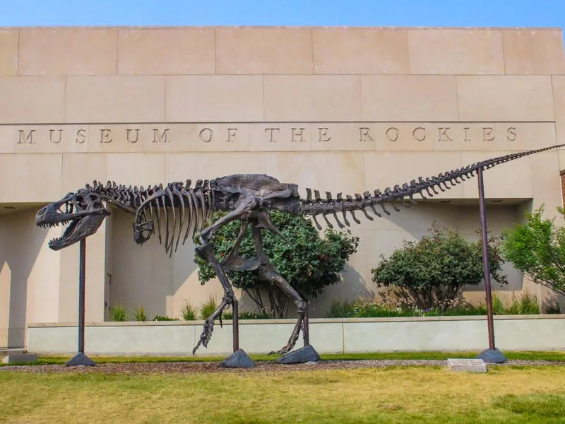 Museum of the Rockies