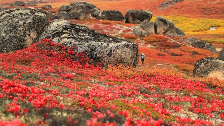 You haven’t experienced fall in Wyoming until you’ve visited these 16 places