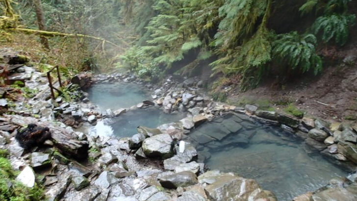 You haven’t really experienced the Pacific Northwest until you’ve visited these 11 hot springs