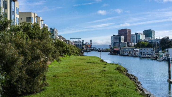 You’ll find the best of both worlds in 16 U.S. cities that blend city life with nature