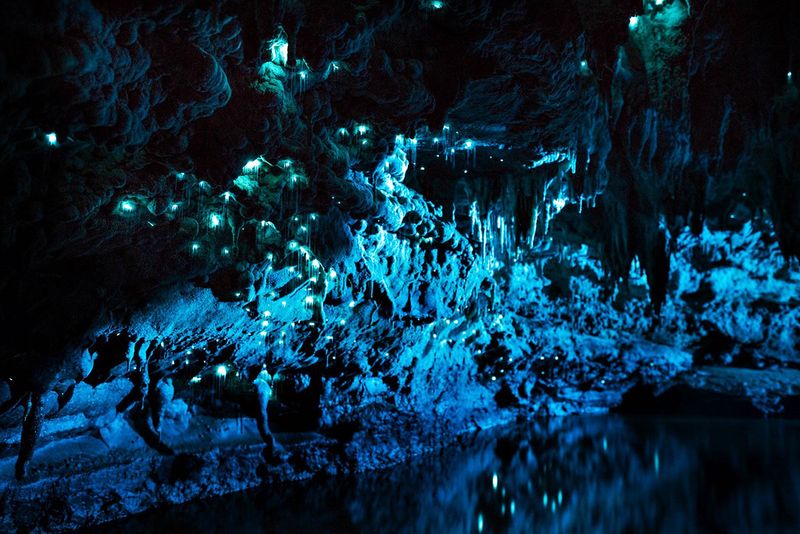 Glowworm Caves – Waitomo, New Zealand