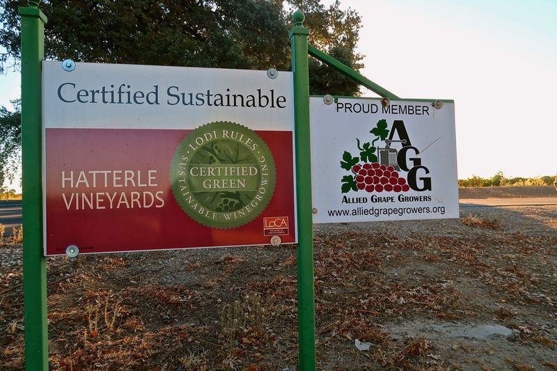Sustainable Practices