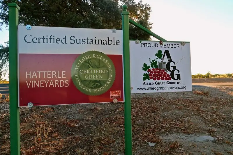 Sustainable Practices