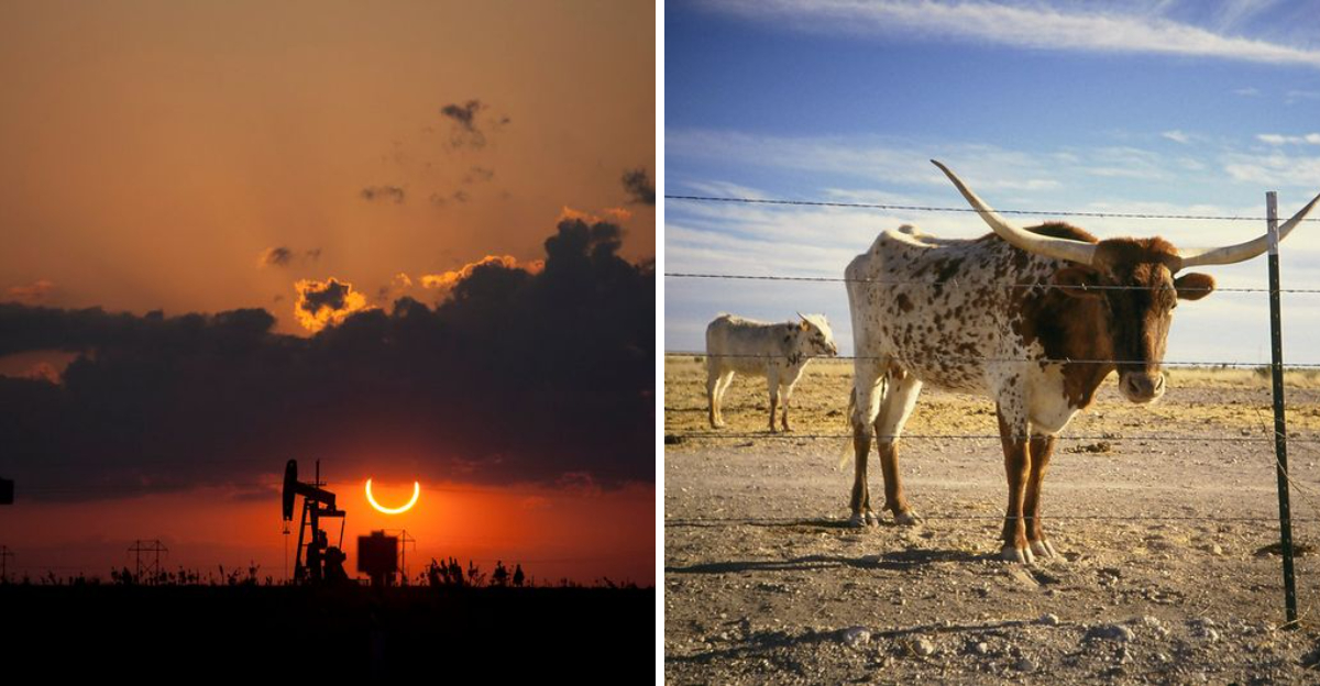 what-daily-life-is-really-like-in-west-texas-towns-far-from-the-big-cities