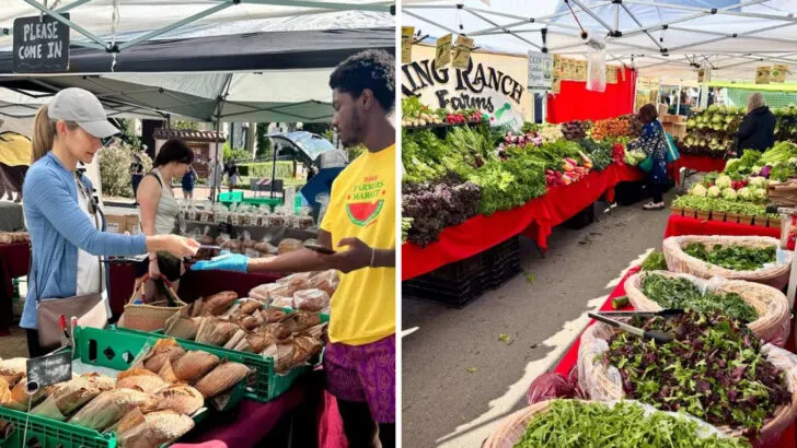 10 California Farmers Markets That Feel Straight Out of a Fall Postcard