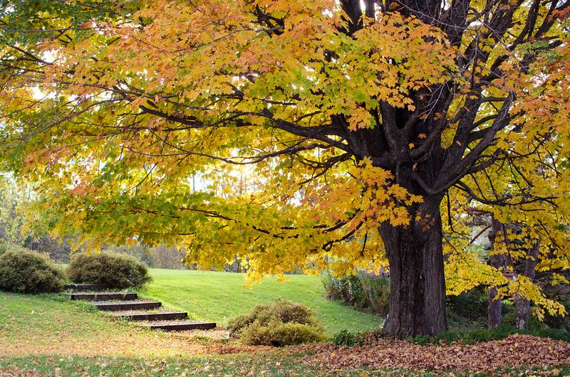 Stowe, Vermont