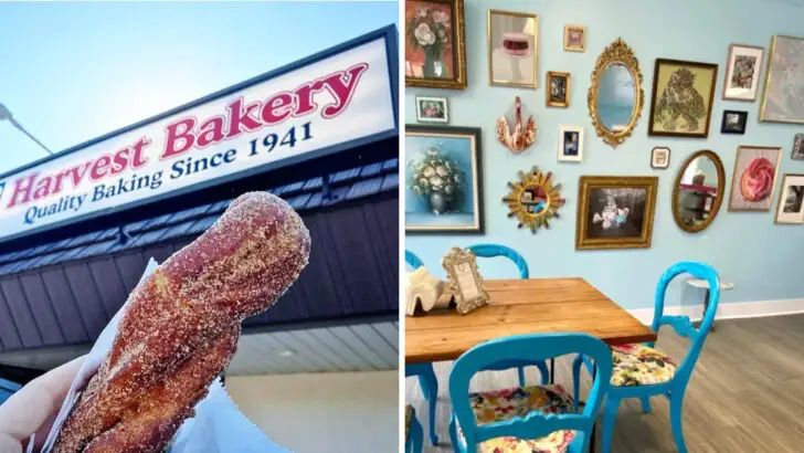 11 Connecticut Bakeries Where Sweet Traditions Are Still Alive