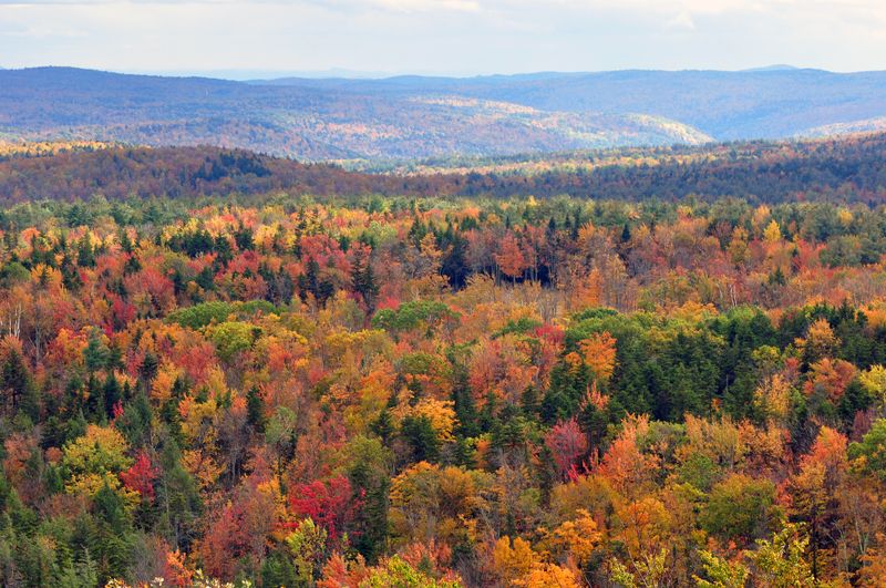 Ignoring Weather Variability