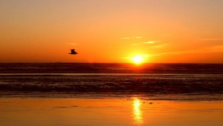 11 Washington Coastal Villages Locals Say Feel Different Every Summer