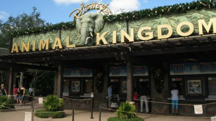 11 Weird Theme Park Rules That Actually Exist (and Why)