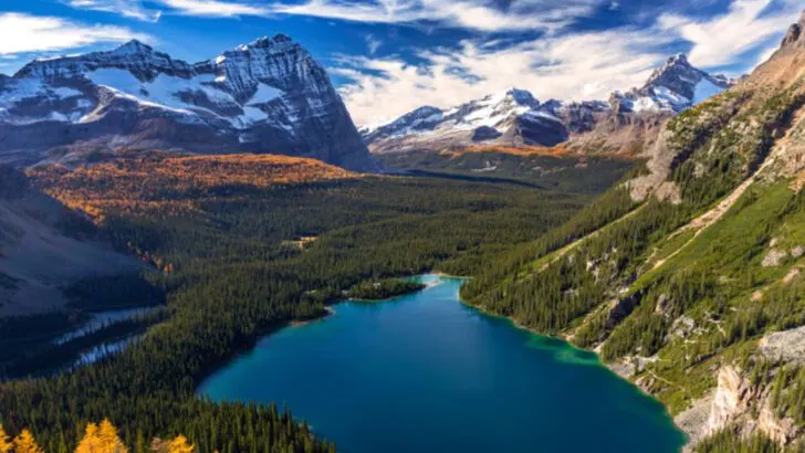 12 Family-Friendly Hikes in the Canadian Rockies With Views Everyone Will Love