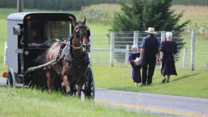 12 Mistakes Tourists Make When Visiting Amish Country That Locals Find Disrespectful