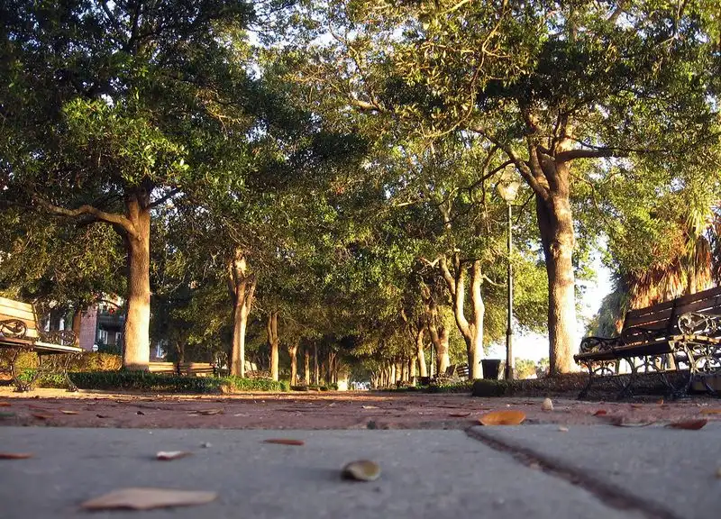 Charleston, South Carolina – Autumn Walks and Softer Heat