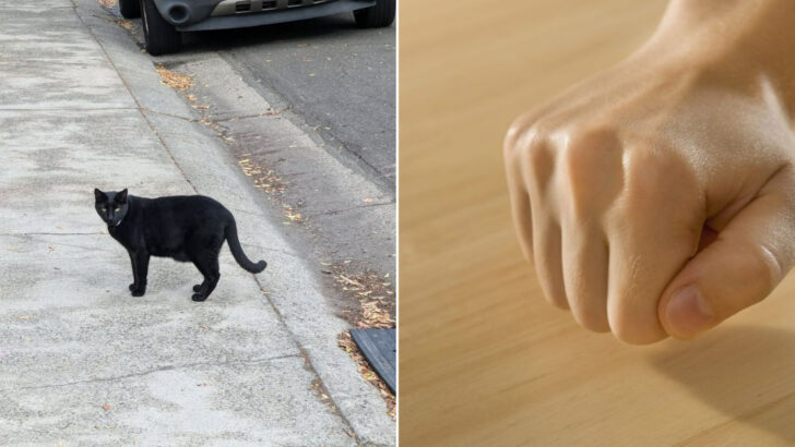 12 Regional Superstitions Americans Still Believe Without Admitting It