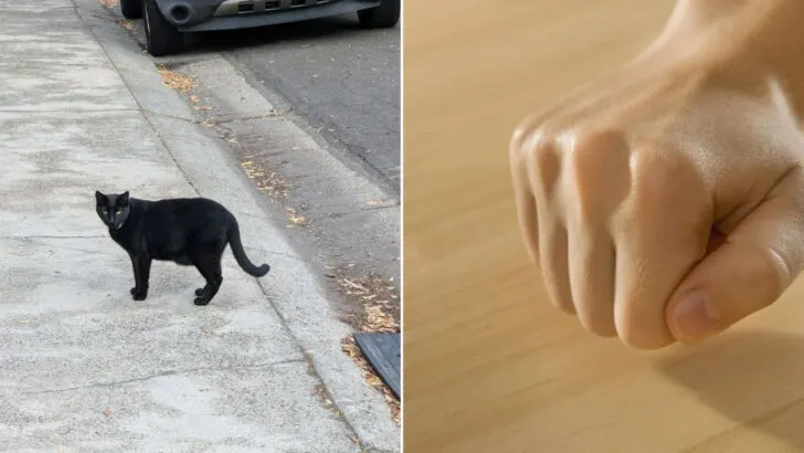 12 Regional Superstitions Americans Still Believe Without Admitting It