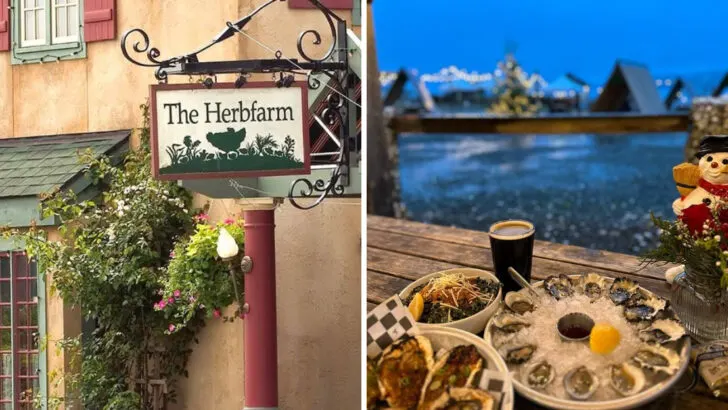 12 Washington Small-Town Eateries That Outshine the Big City Spots