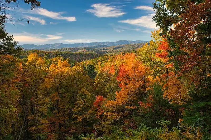 The Great Smoky Mountains National Park