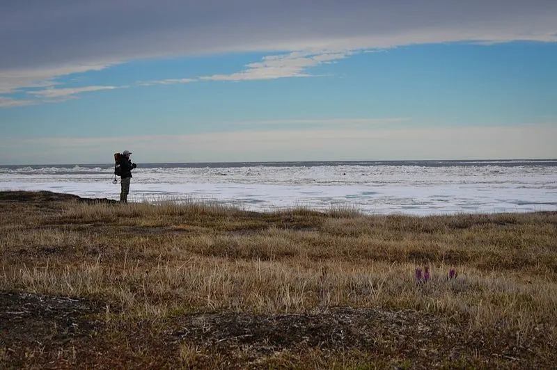 Alaska's Coastline