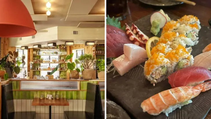 13 Japanese Restaurants in Colorado Serving Fresh Flavor in the Mountains