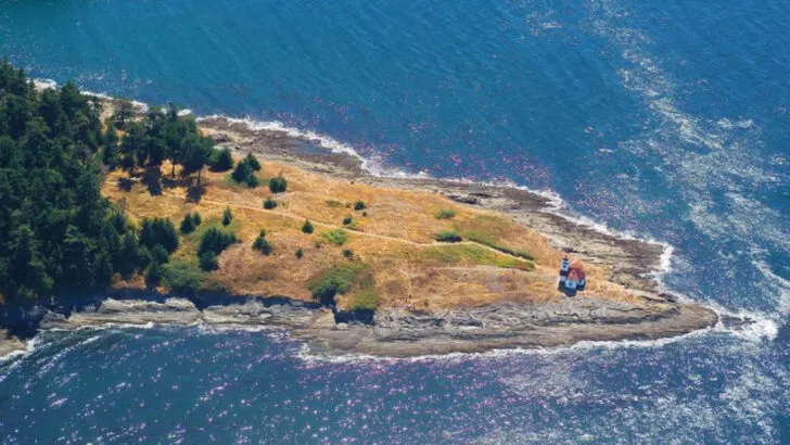 13 Pacific Northwest Islands Where You’ll Find More Wildlife Than People