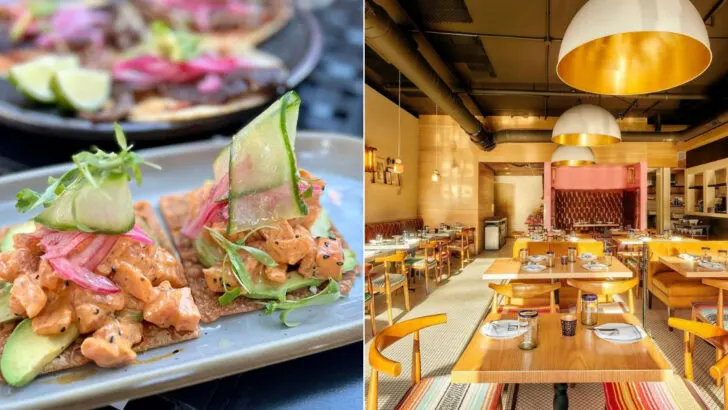 13 Tennessee Mexican Restaurants Where Heritage Shapes Every Dish