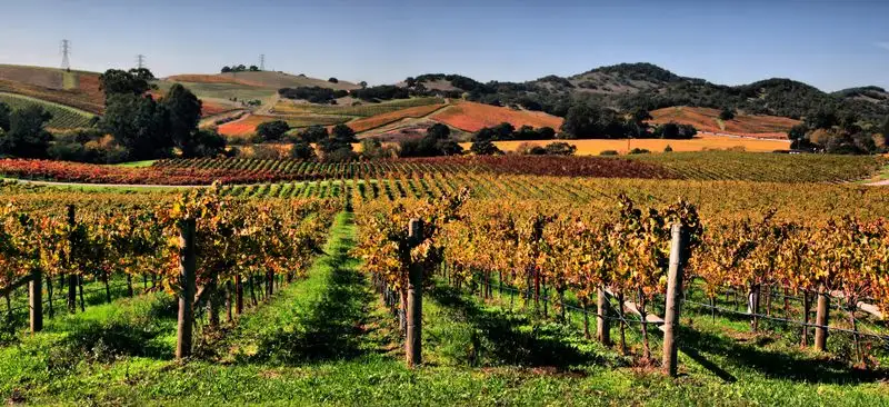Napa Valley, California