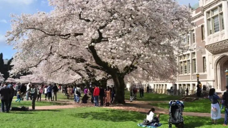 14 College Campuses in America So Pretty, You’ll Want to Plan a Trip Just to See Them