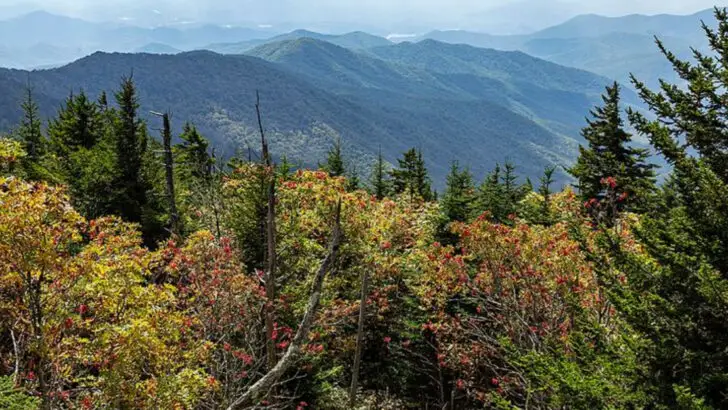 15 Fall Break Destinations in the Smoky Mountains Families Can’t Get Enough Of