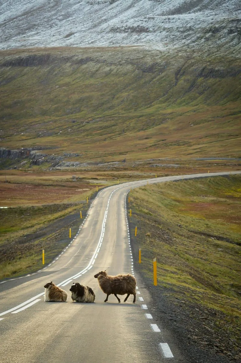 Travel During the Off-Season
