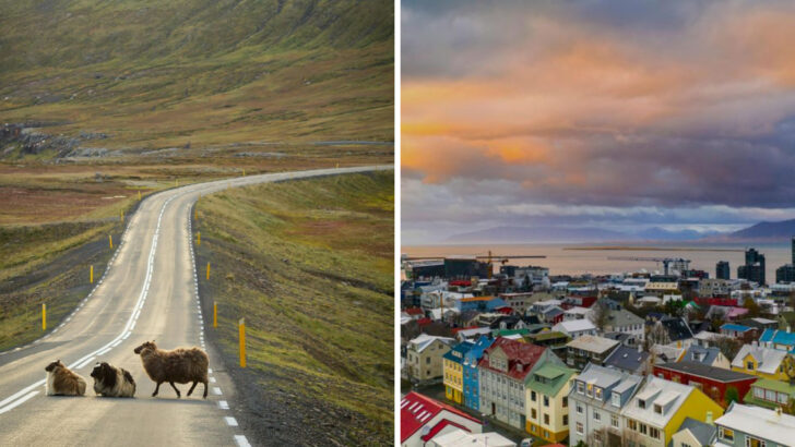 16 Smart Ways to See Iceland Without Spending a Fortune
