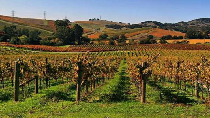 18 Small Towns Built on Wine, Art, and Open Roads (That Tourists Haven’t Overrun Yet)