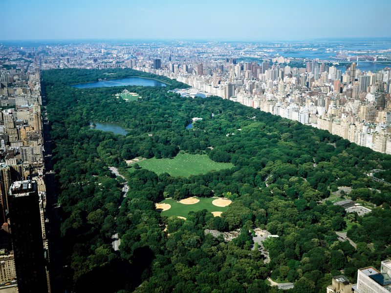 Central Park, New York City