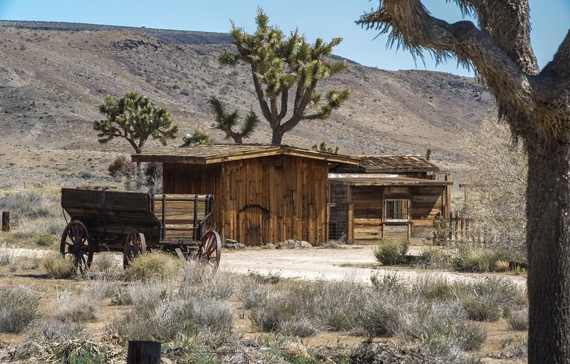 Yucca Valley
