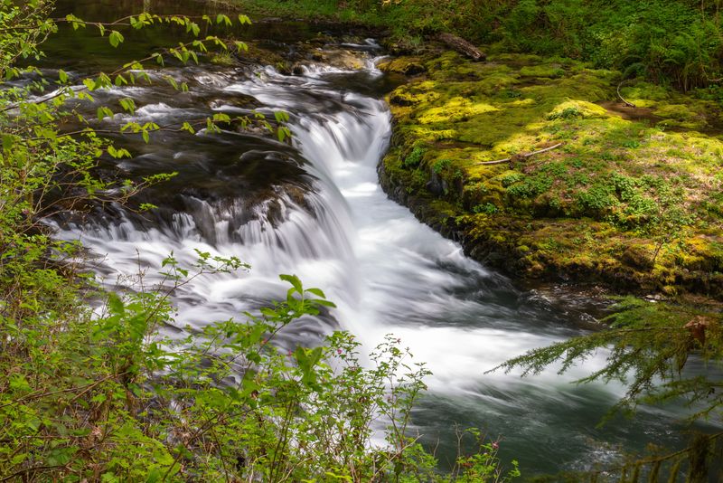 Silver Falls State Park Trail of Ten Falls