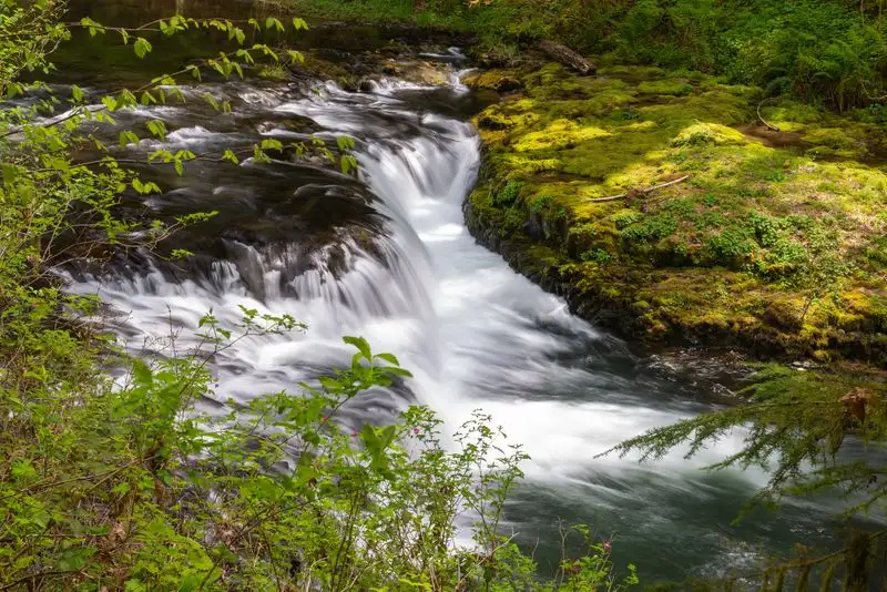 Silver Falls State Park Trail of Ten Falls