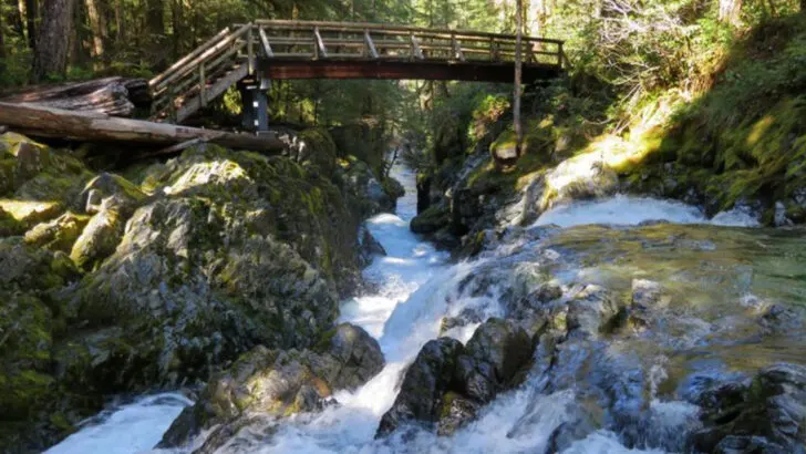 5 Forest Hikes in Oregon and 5 Small Towns That Feel Like Summer All Year
