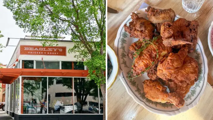 5 North Carolina Fried Chicken Chains That Deliver & 5 Local Favorites That Stand Out