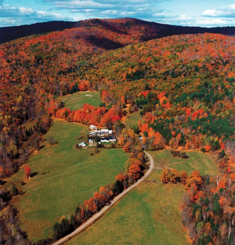 Sugarbush Farm