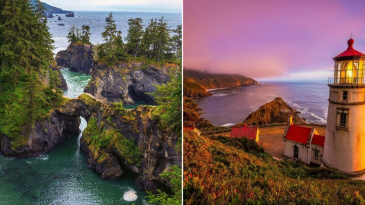 7 Dramatic Oregon Coastal Hikes You’ll Never Forget and 8 Cliffside Towns with Million-Dollar Views
