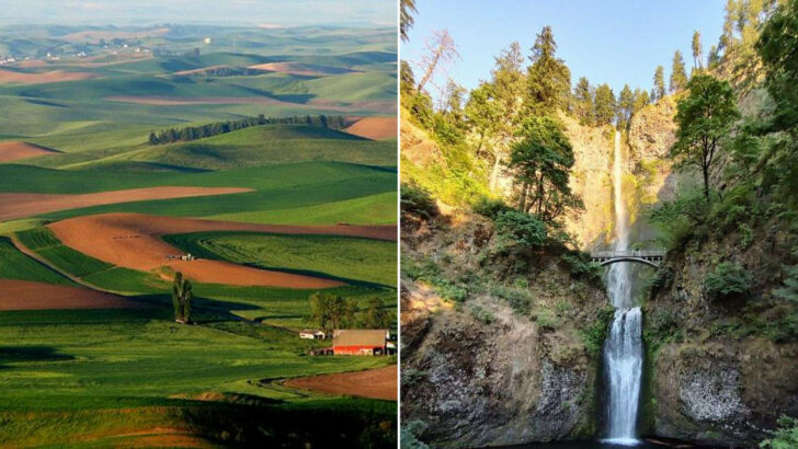 7 U.S. Trips People Are Taking Just for the Photos (And 7 That Remind You Why You Travel in the First Place)