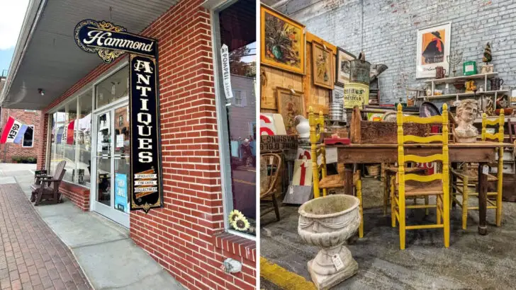 8 Huge Thrift and Antique Stores in North Carolina Where Every Aisle Tells a Story