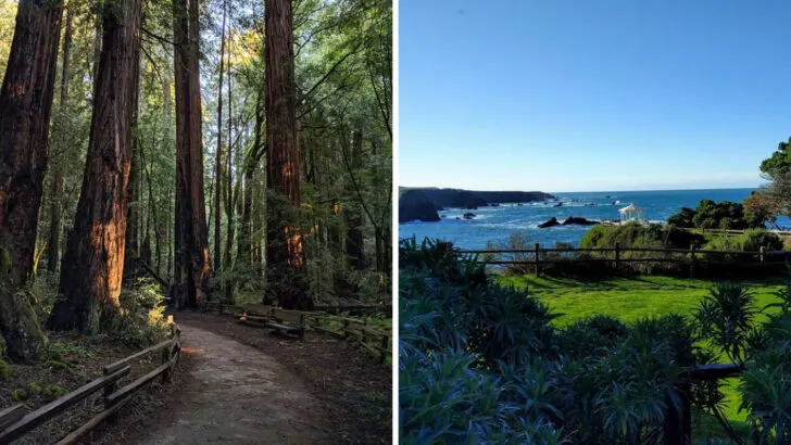 8 Magical California Redwood Groves and 6 Highway 1 Towns Where the Pace Slows Down
