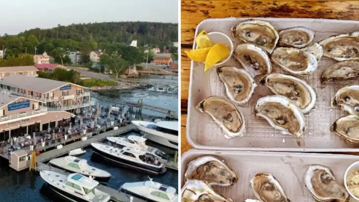 8 Maine Restaurants Serving Fresh Seafood With a Harbor View
