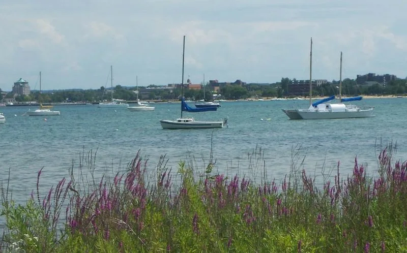 Traverse City