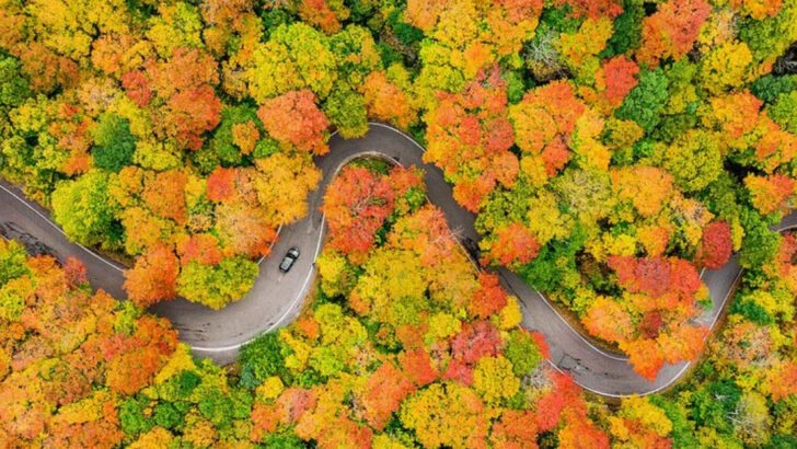 8 Mistakes in New England During Fall + 8 Tips Locals Wish Visitors Knew