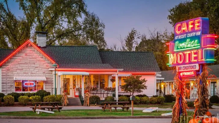 8 Tennessee Tomato Gravy Breakfast Spots That Turn Simple Ingredients Into Southern Gold