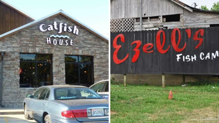 8 Alabama Catfish Houses Where the Hushpuppies Steal the Show