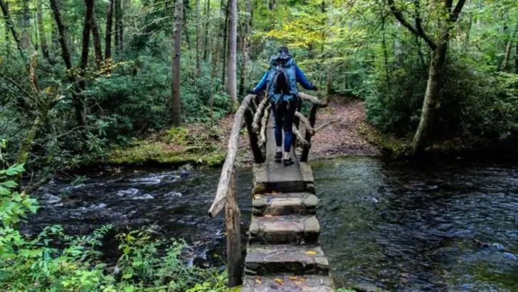 8 Blue Ridge Mountains Experiences You Should Not Miss