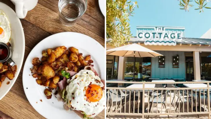 9 California Brunch Spots That Feel Coziest When the Leaves Start to Change