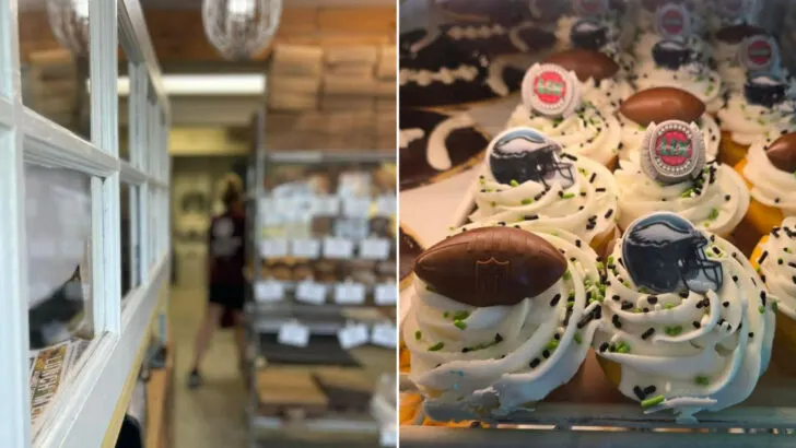 9 Delaware Bakeries That Turn Morning Rushes Into Daily Rituals